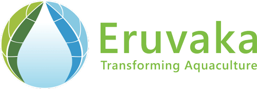 Eruvaka